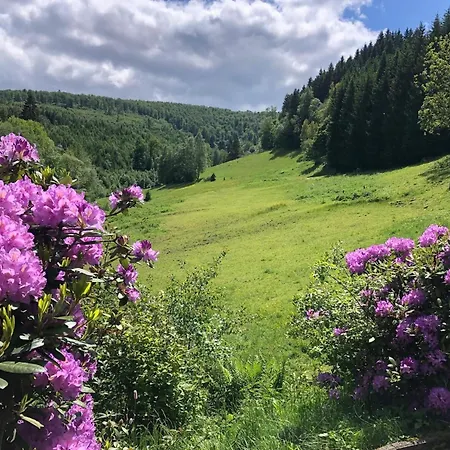 Exclusive Group House In In The Forest * Winterberg