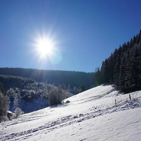 Holiday home Exclusive Group House In In The Forest Winterberg