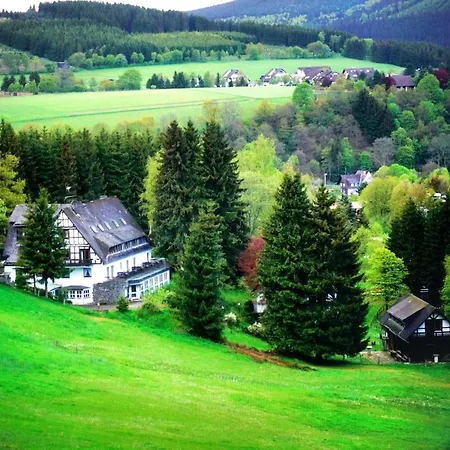 Exclusive Group House In In The Forest Holiday home Winterberg