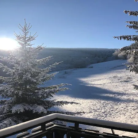 Holiday home Exclusive Group House In In The Forest Winterberg
