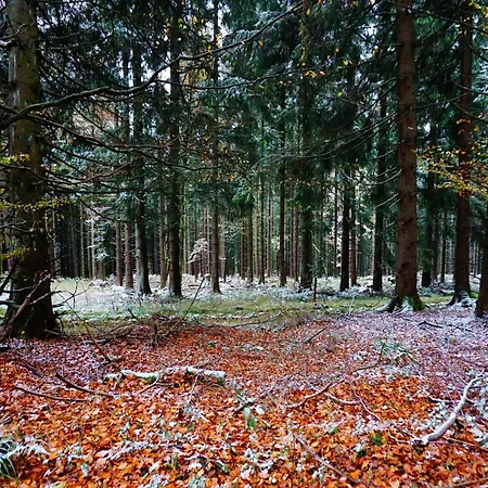 Ferienhaus Exclusive Group House In In The Forest