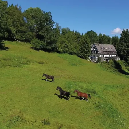 펜션 Exclusive Group House In In The Forest 빈터베르크