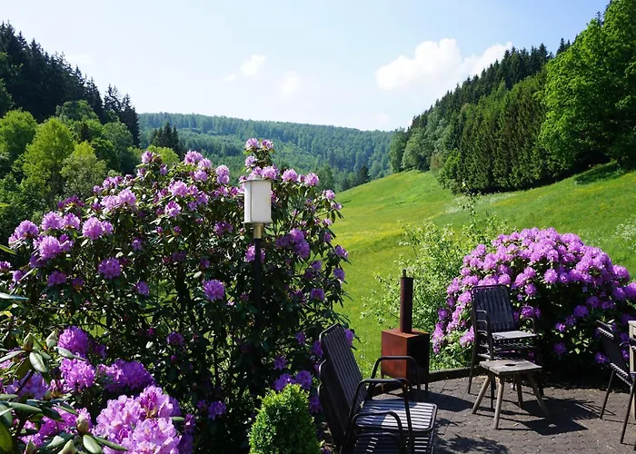 Exclusive Group House In In The Forest