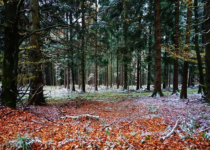 Holiday home Exclusive Group House In In The Forest